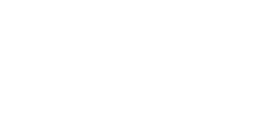 Viktoria Design Agency